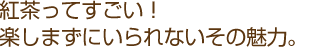 紅茶ってすごい!楽しまずにいられないその魅力。